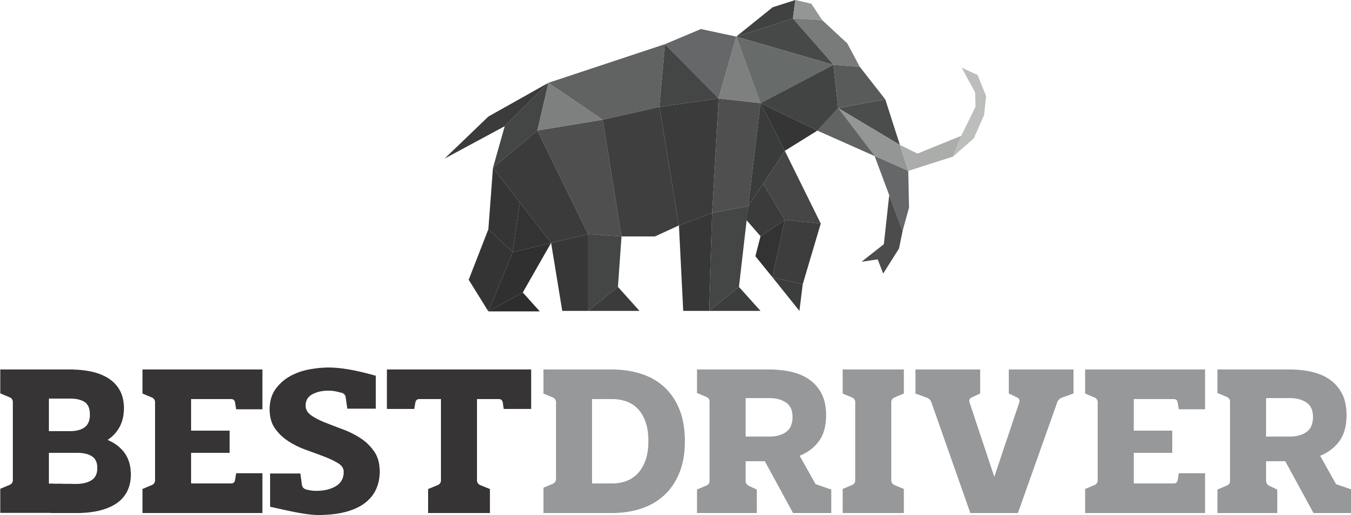 Best Driver logo